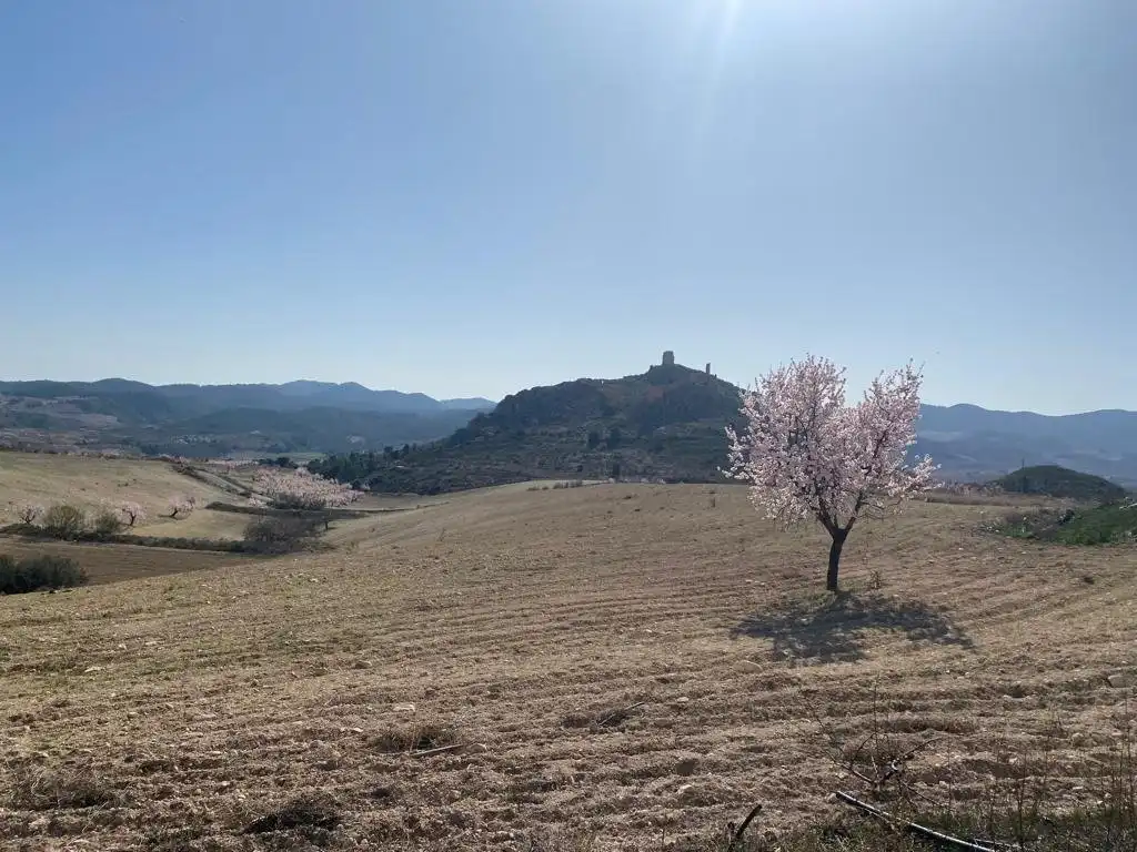 Finca rústica en venta en Lorca con Terraza