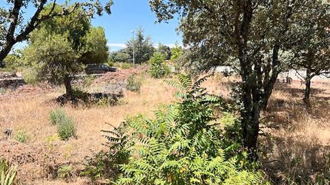 Photo 5 of Residential for sale in Las Zorreras - Monte Encinar, Madrid