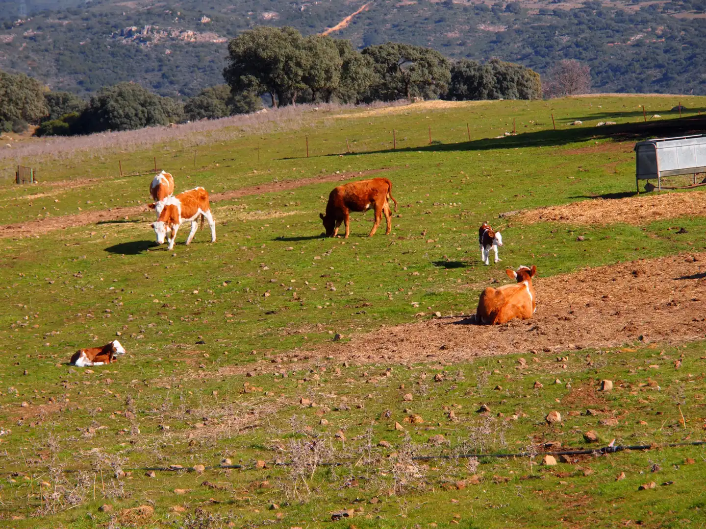 Country house zum Verkauf in Santa Olalla del Cala