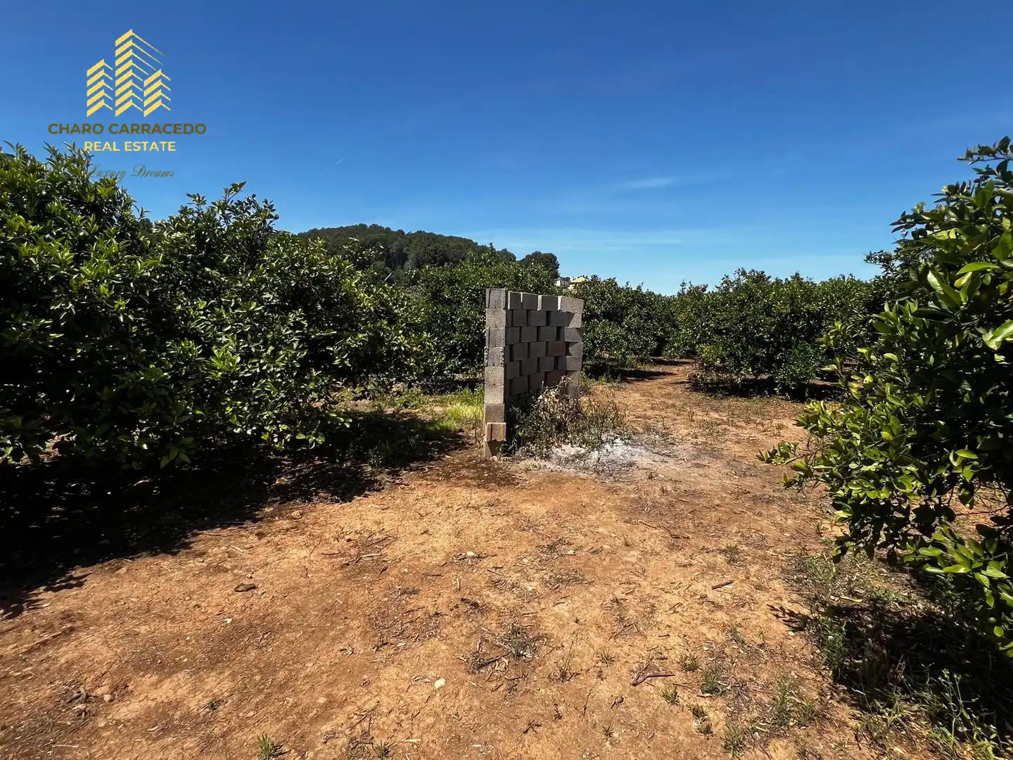 Terreno rústico en venta en Camí de la Murta-Ombria, imagen 17