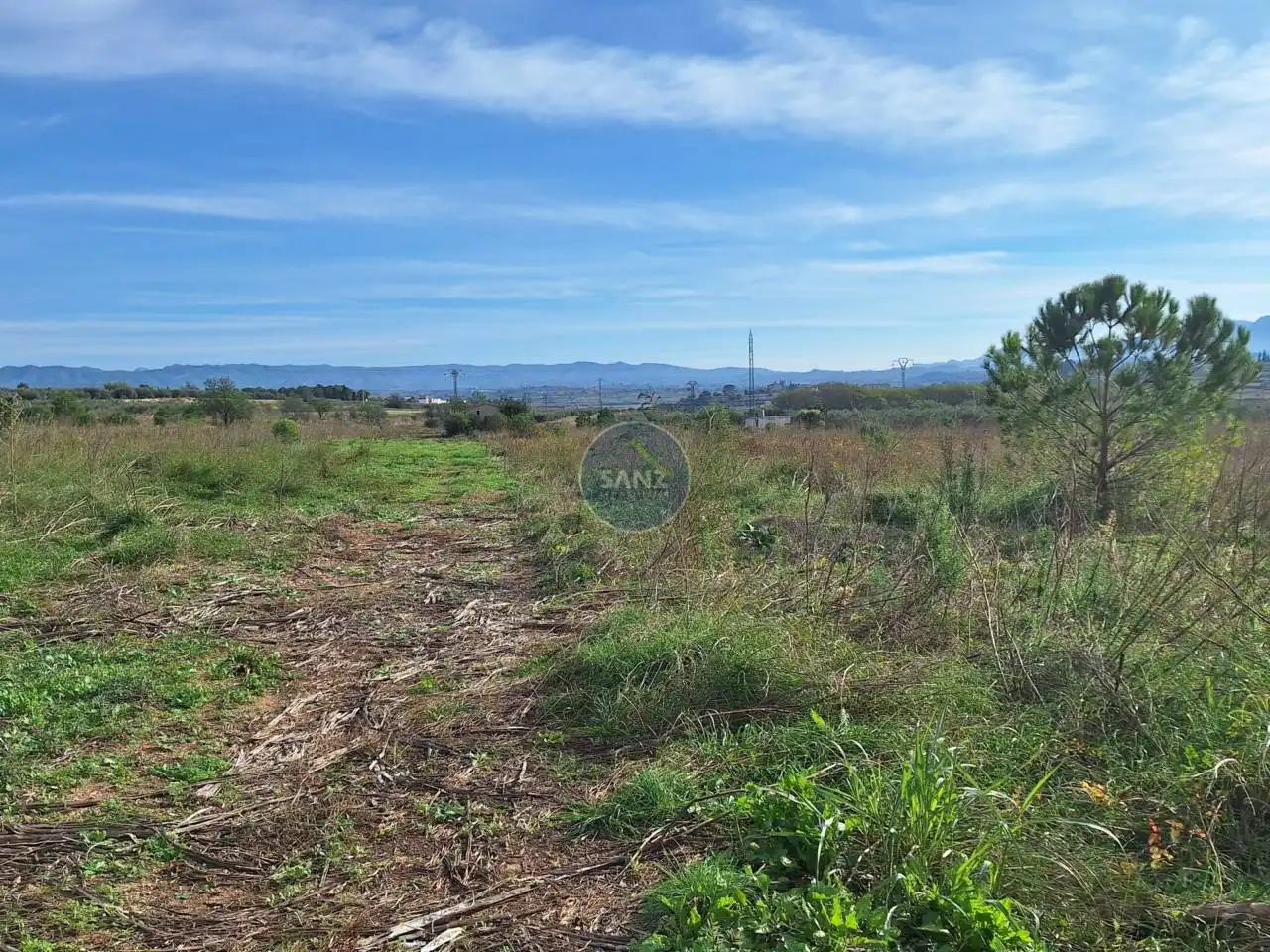 Terreny rústic en venda a Alfarrasí, imagen 4