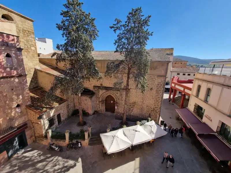 Vista exterior de Pis en venda en Plasencia amb Aire condicionat, Calefacció i Jardí privat