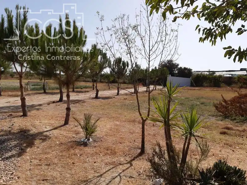 Casa rústica amb jardí en venda a Almonte ciudad, imagen 16