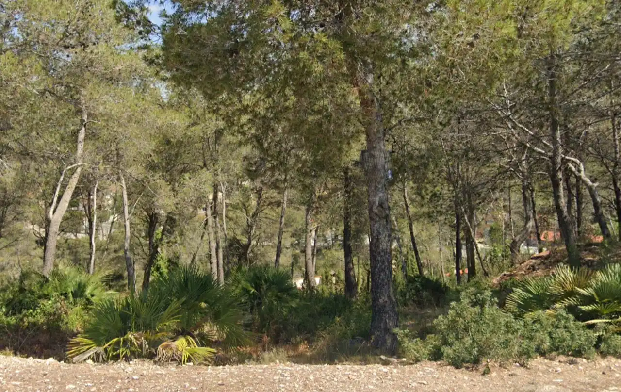 Terreno residencial en venta en Avinguda California, imagen 5