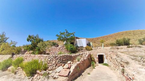 Foto 2 de Finca rústica en venta en Hondón de las Nieves / El Fondó de les Neus, Alicante