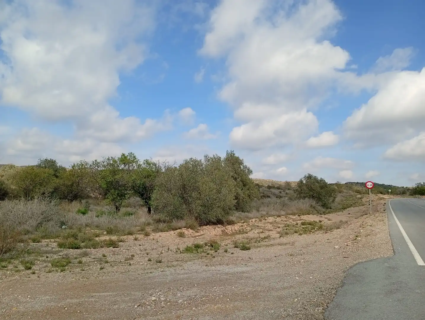 Terreny en venda a Rambla La Higuera, Albox