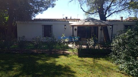 Foto 3 de Casa o chalet de alquiler en Cerros de Montequinto, Montequinto