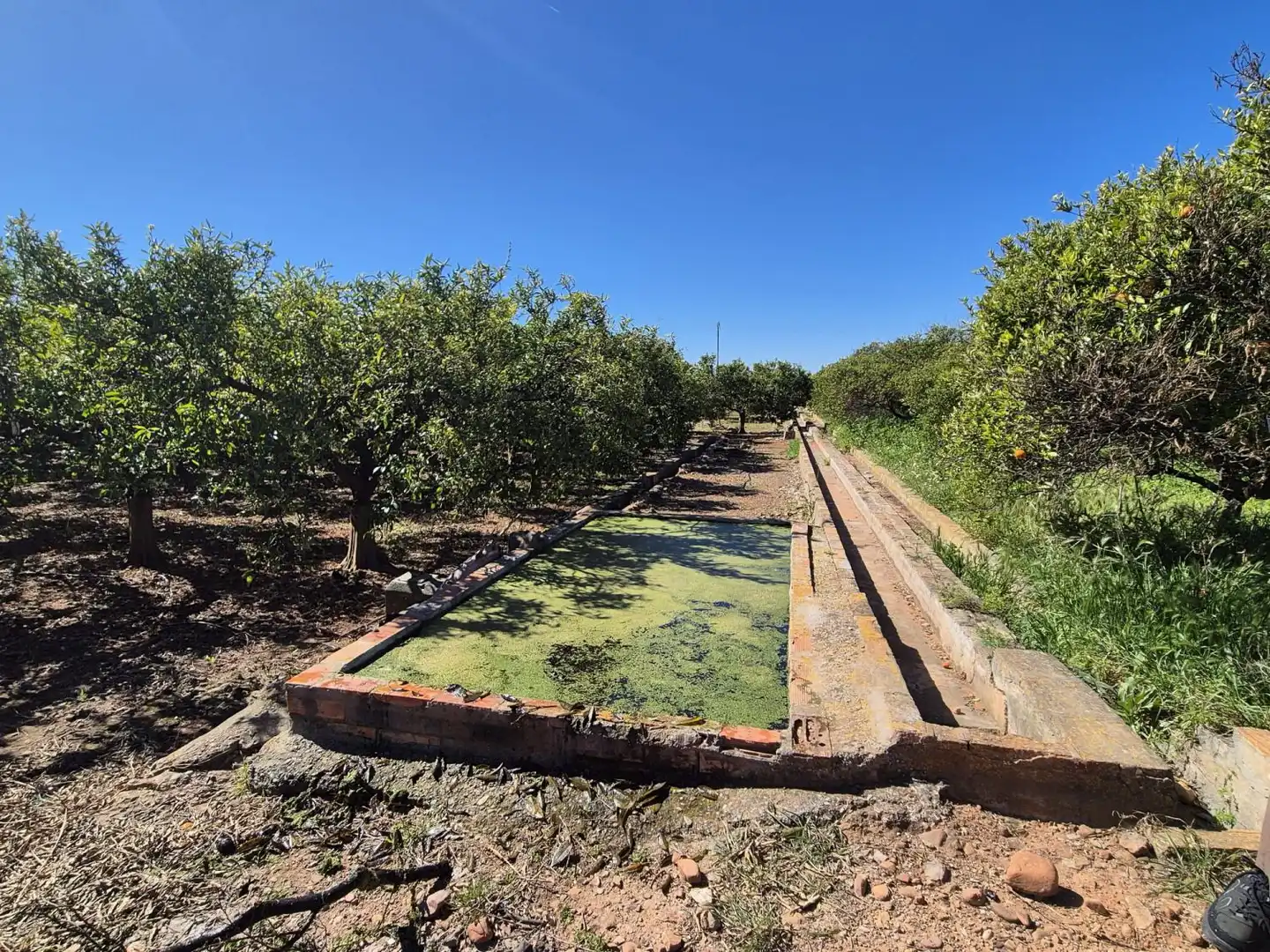 Finca rústica en venta en Vila-real