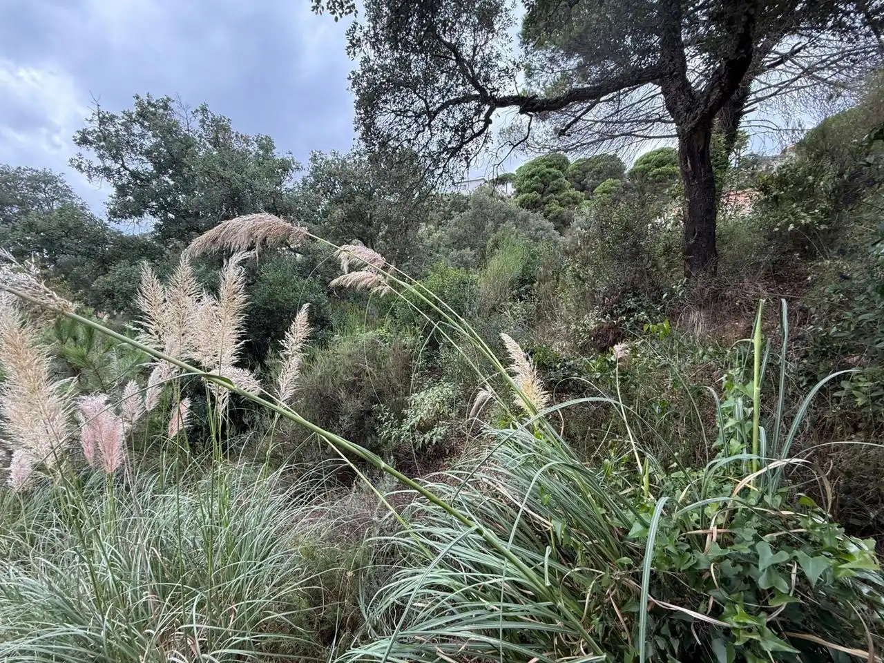 Terrenos y solares en venta en Lloret Residencial - Montlloret, imagen 6