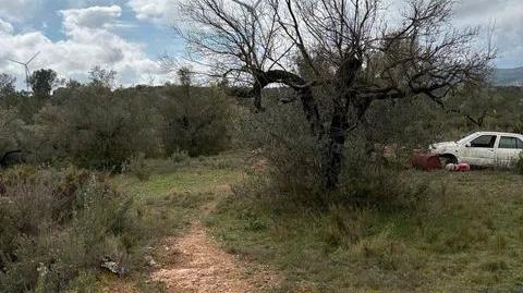 Foto 4 de Terreny en venda a Zn Diseminats, 35, El Perelló, Tarragona