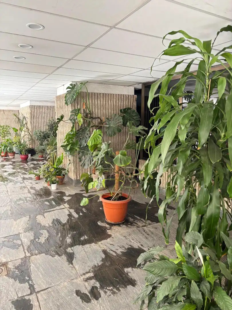 Garden of Flat for rent in Madrid  with Air Conditioner, Heating and Private garden