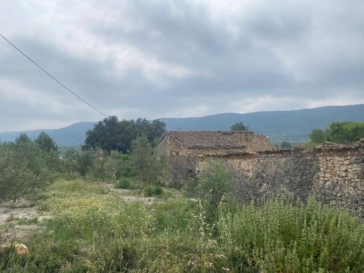 Finca rústica en venta en Enguera