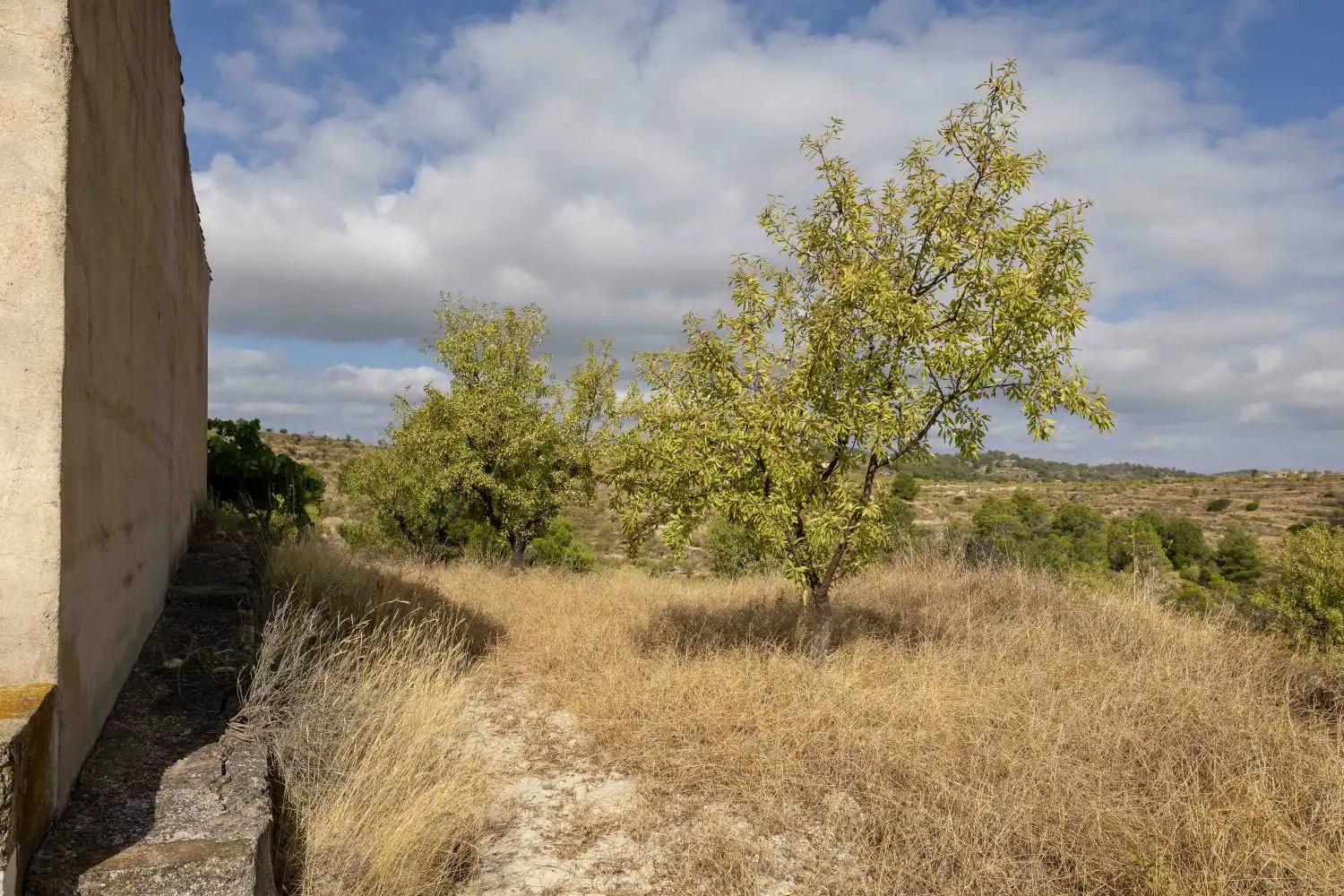 Finca rústica en venta en Mula