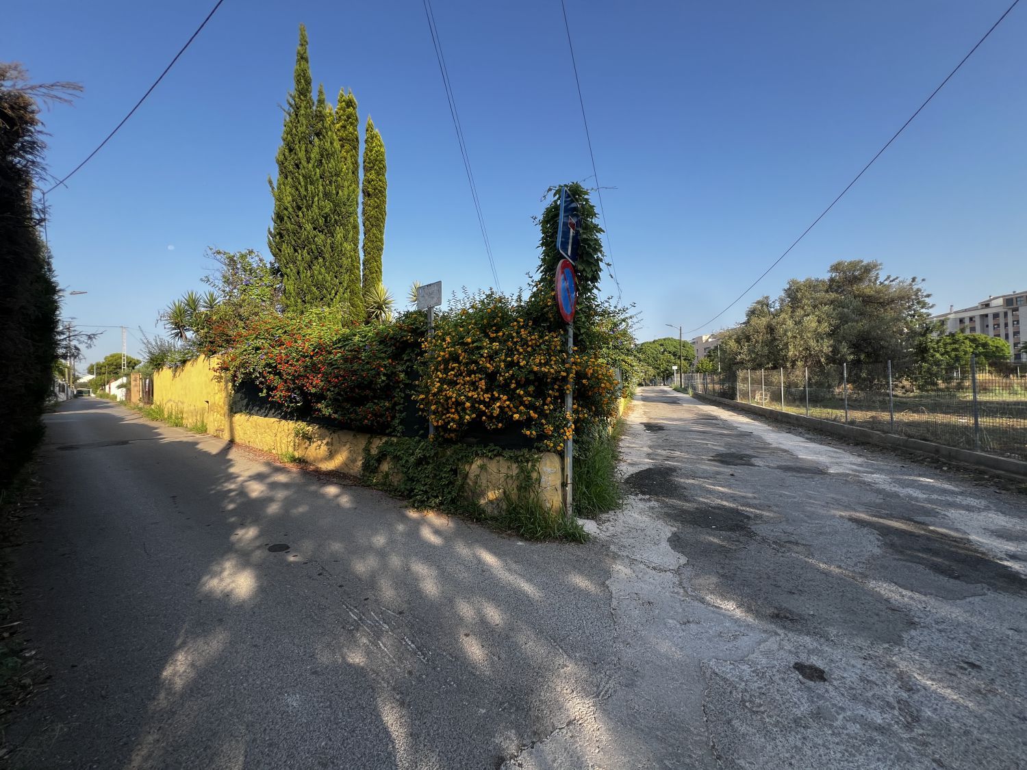Exterior view of House or chalet for sale in Castellón de la Plana / Castelló de la Plana  with Private garden, Terrace and Storage room