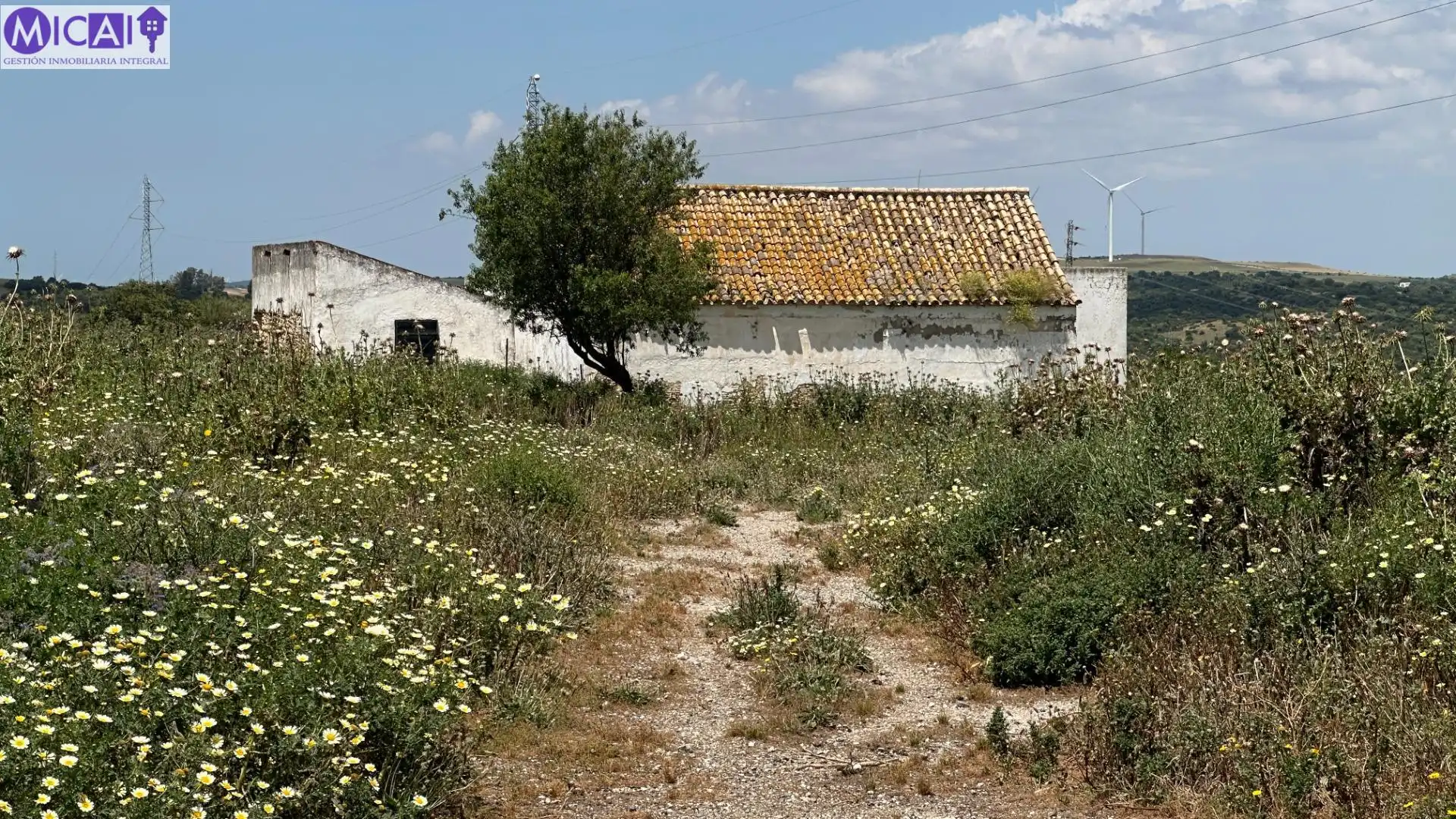 Terreny rústic en venda a Medina Sidonia, imagen 17