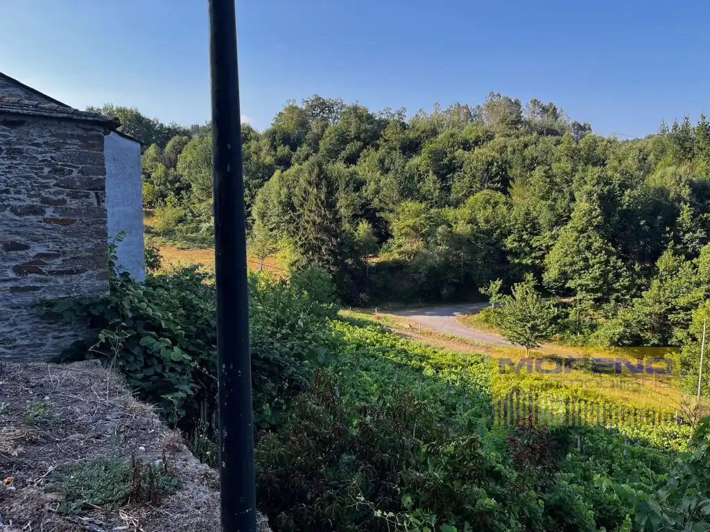 Country house for sale in Paradela, imagen 23