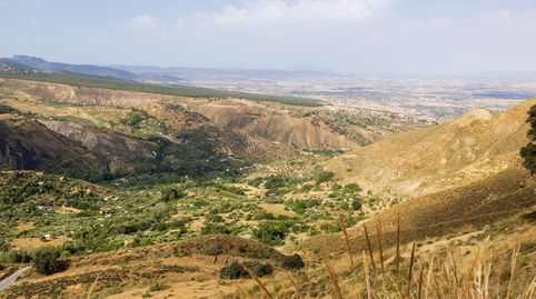 En Venta Maravilloso Paraje Natural, a medio camino entre Granada y Sierra Nevada, a veinte minutos en coche, desde cada una de el