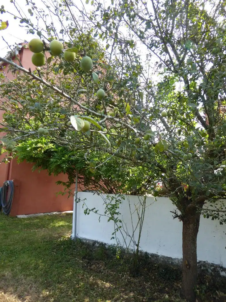 Casa amb jardí de lloguer a Rúa Xaviña 35, imagen 31