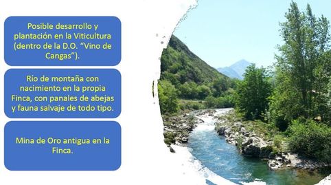 Foto 5 de Casa o chalet en venta en Cn-1, S/n, Cangas del Narcea, Asturias