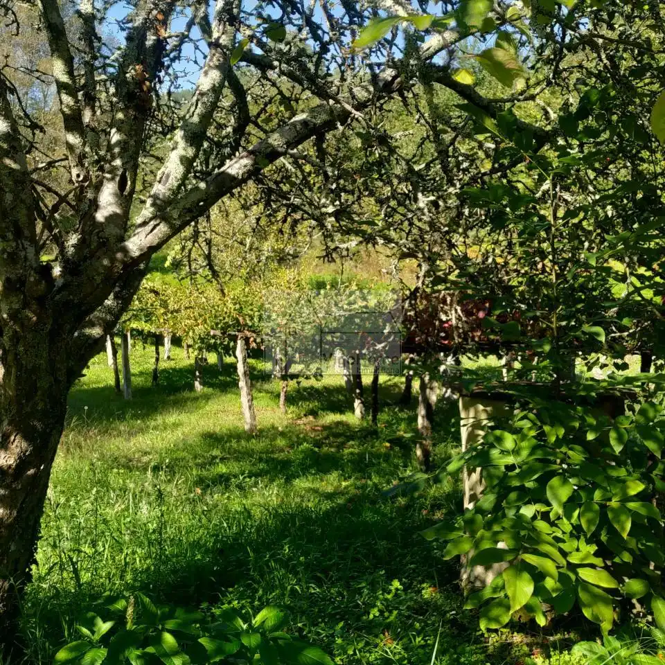 Garden of Country homes for sale in Vilaboa  with Heating, Private garden and Terrace