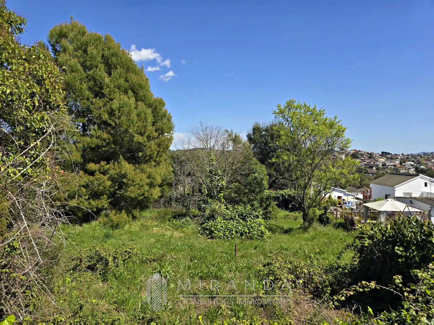 Residential land for sale in Carrer de l'Olivera, imagen 2