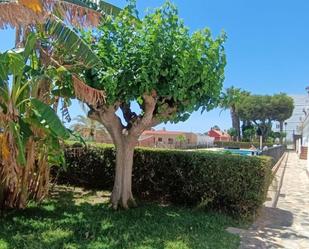 Jardí de Casa o xalet de lloguer en Santa Pola amb Aire condicionat i Piscina comunitària