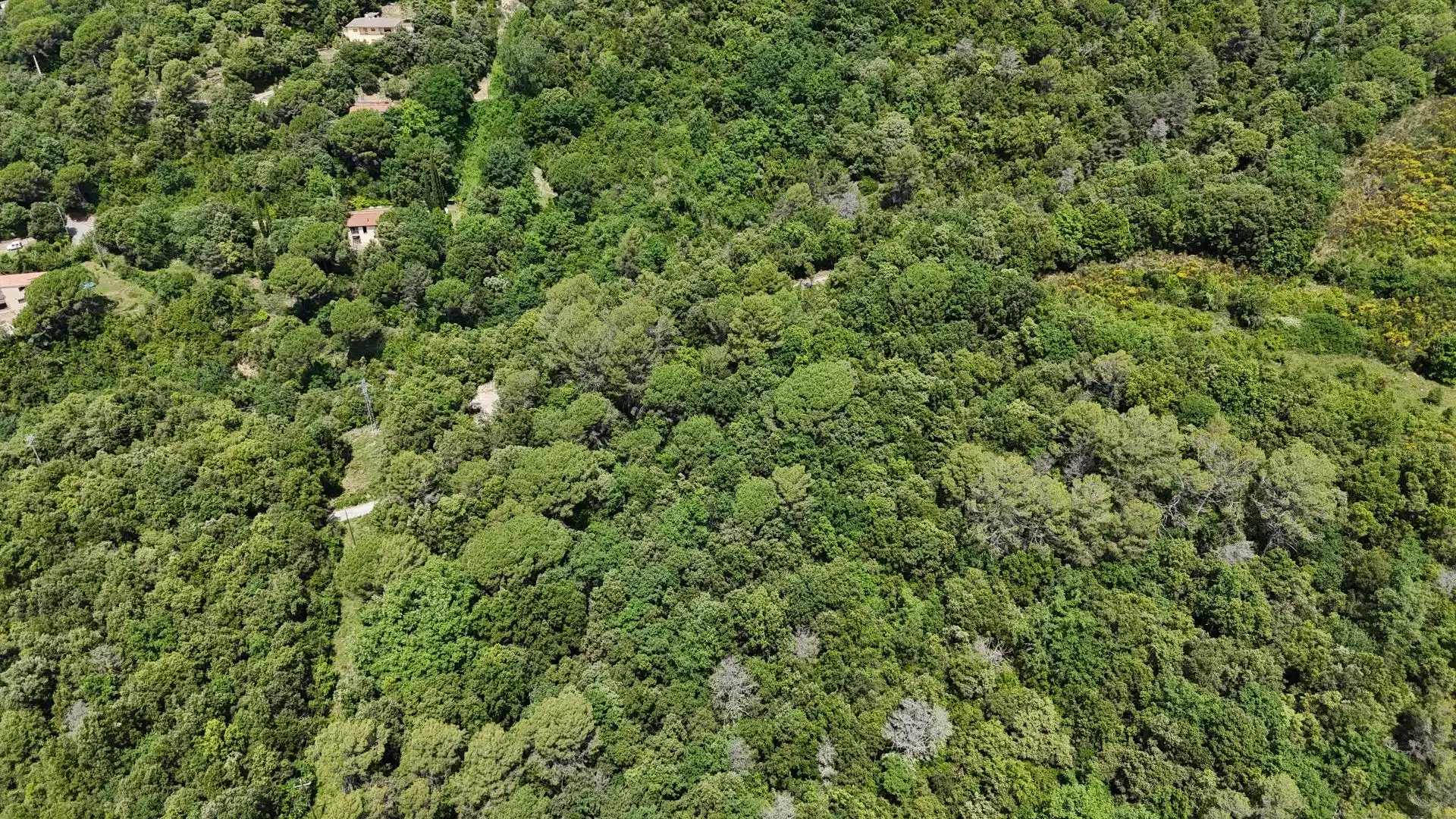 Casa o xalet en venda en Sant Aniol de Finestres amb Aire condicionat, Calefacció i Jardí privat
