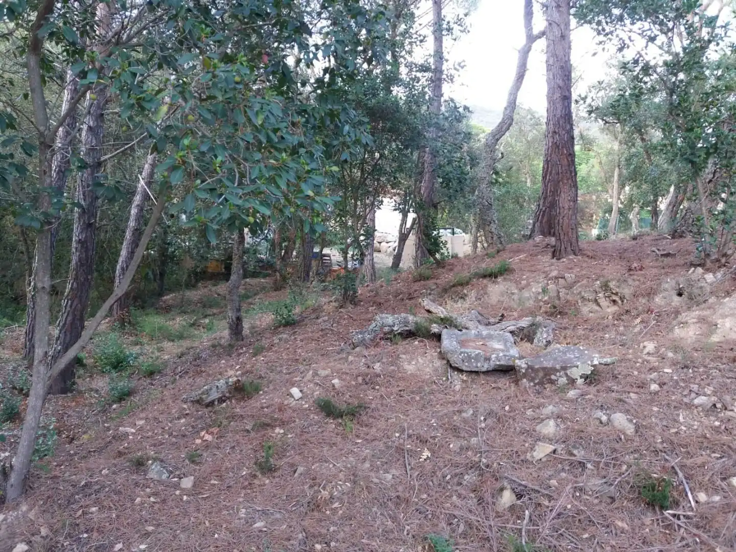 Terreno residencial en venta en Avinguda del Bell-lloc, imagen 6