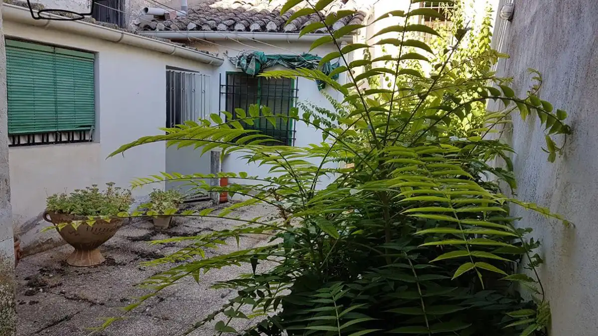 Jardí de Casa o xalet en venda en Minaya