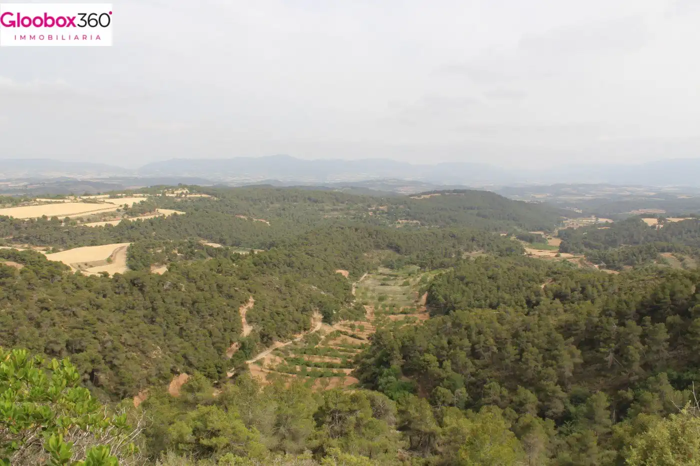 Country homes for sale in Blancafort  with Alarm