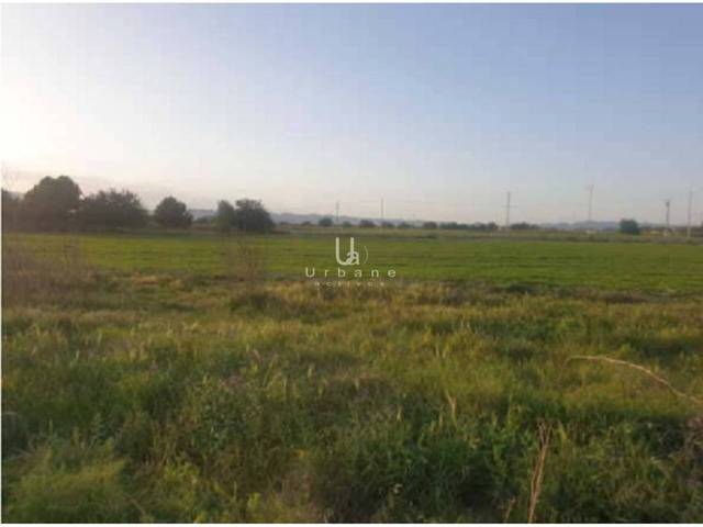 Terreno en Venta en Calle Molino de Valladolises, 1 en Valladolises y Lo Jurado