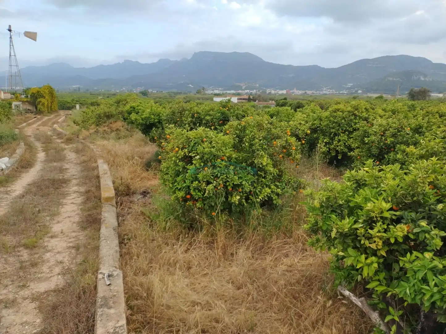 Terreno rustico in vendita a Plaza Numero