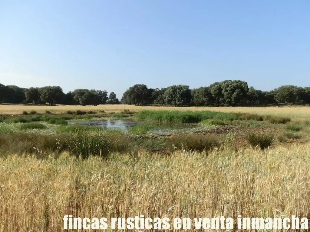 Terreno en venta en Alcaraz