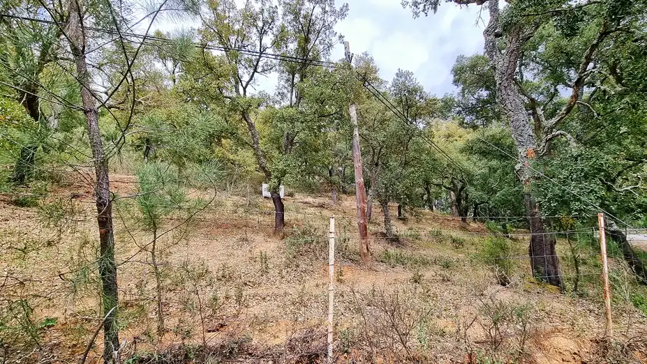 Terreny rústic en venda a Galaroza, imagen 7