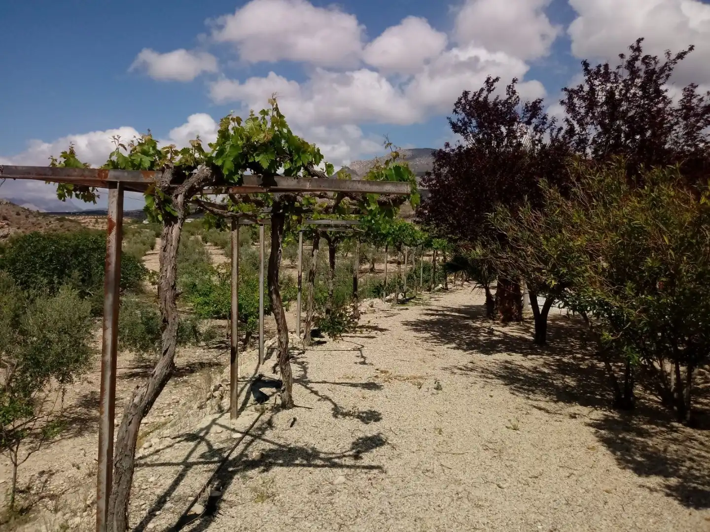 Land for sale in N/A, -1, Humbrías