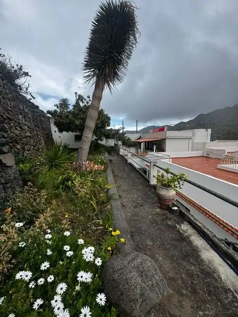 Vista exterior de Finca rústica en venta en Hermigua