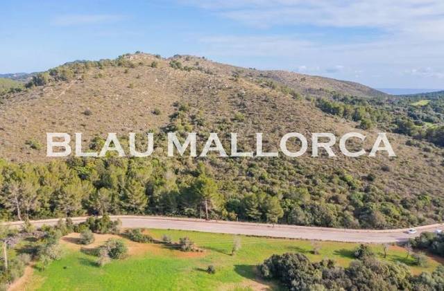 Terreno en Venta en Canyamel