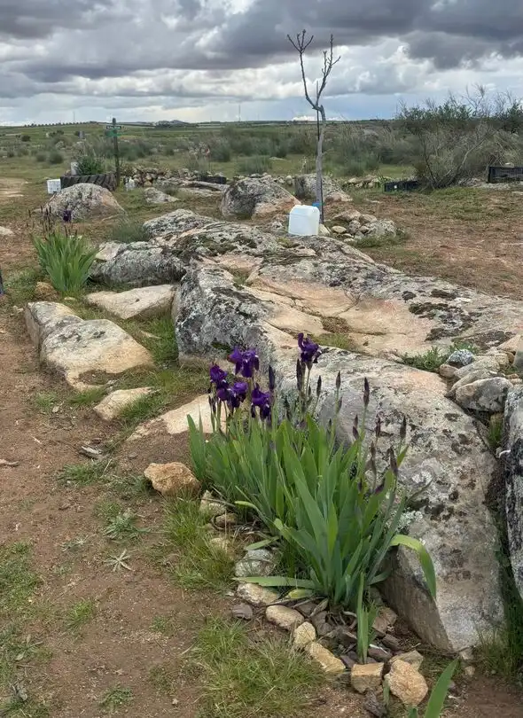 Jardín de Terreno en venta en Villaminaya