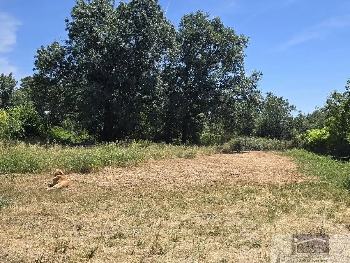 Finca rústica en venta en La Moraleja