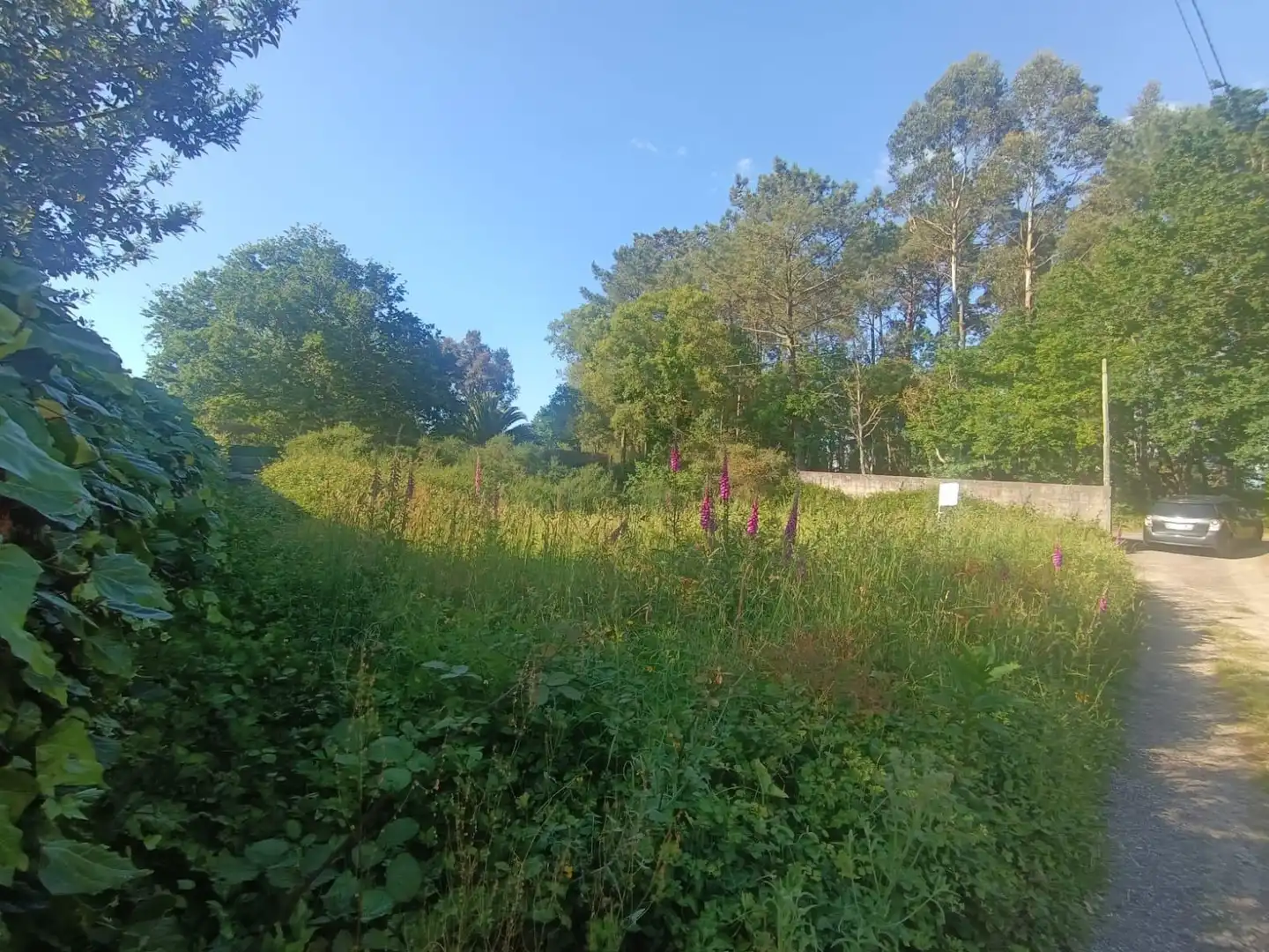 Terreno en venta en Tomiño