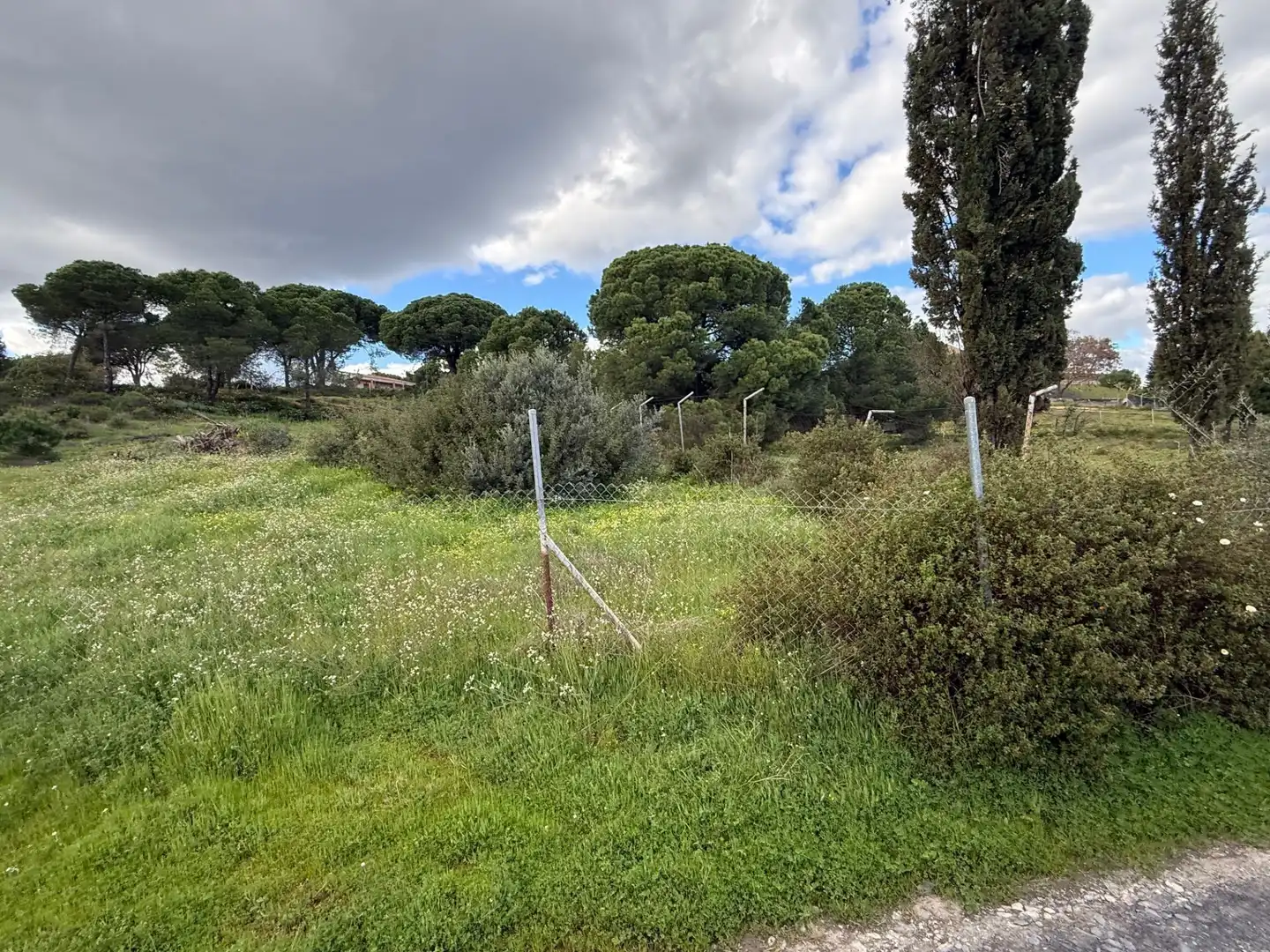 Terrenos y solares en venta en Las Palmillas, imagen 8