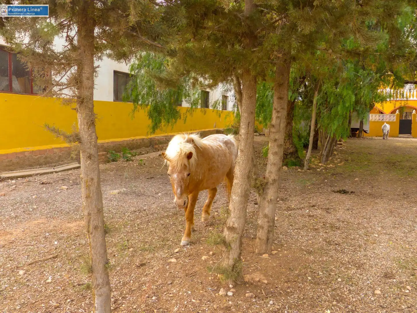 Vista exterior de Finca rústica en venda en Fuente Álamo de Murcia amb Calefacció, Jardí privat i Terrassa