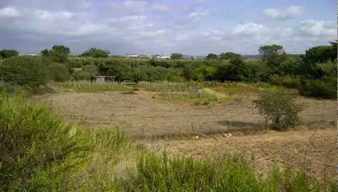 Terrain rustique à vendre à L´Horta Gran, imagen 8