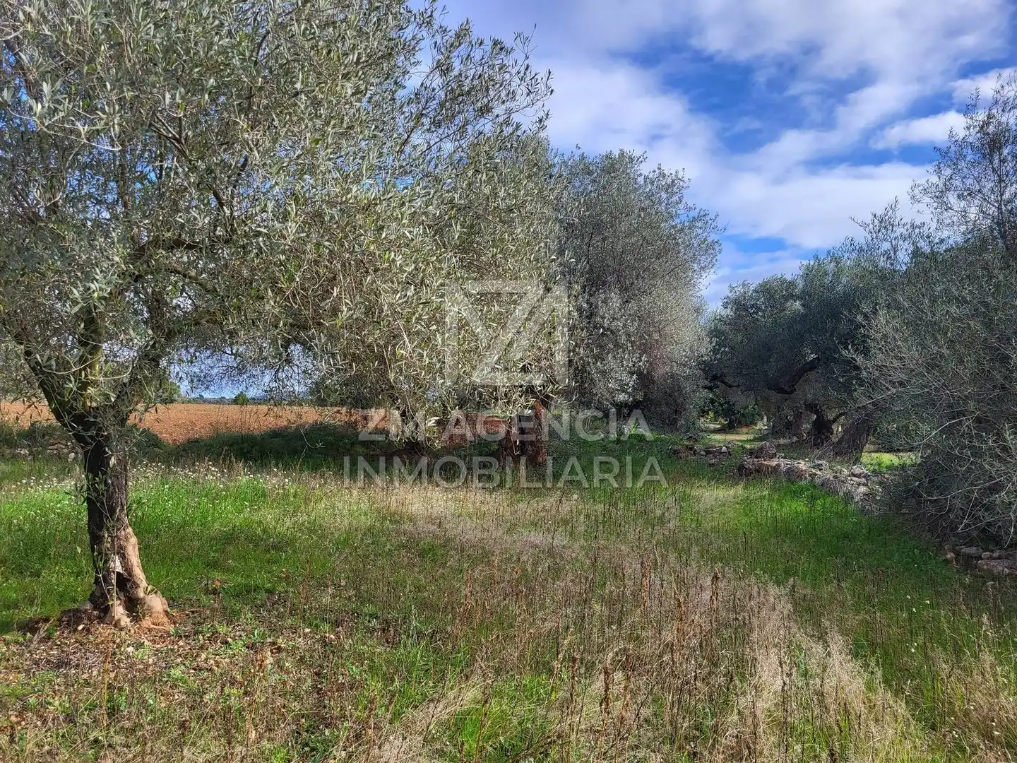 Terreno rustico in vendita a Cabanes, imagen 15