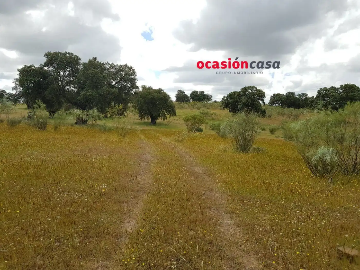 Finca rústica en venta en Torrecampo