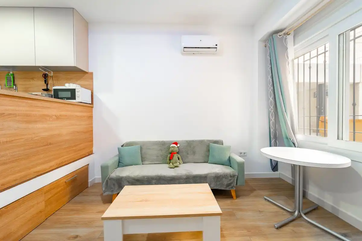 Sala d'estar de Estudi en venda en Málaga amb Aire condicionat, Calefacció i Moblat