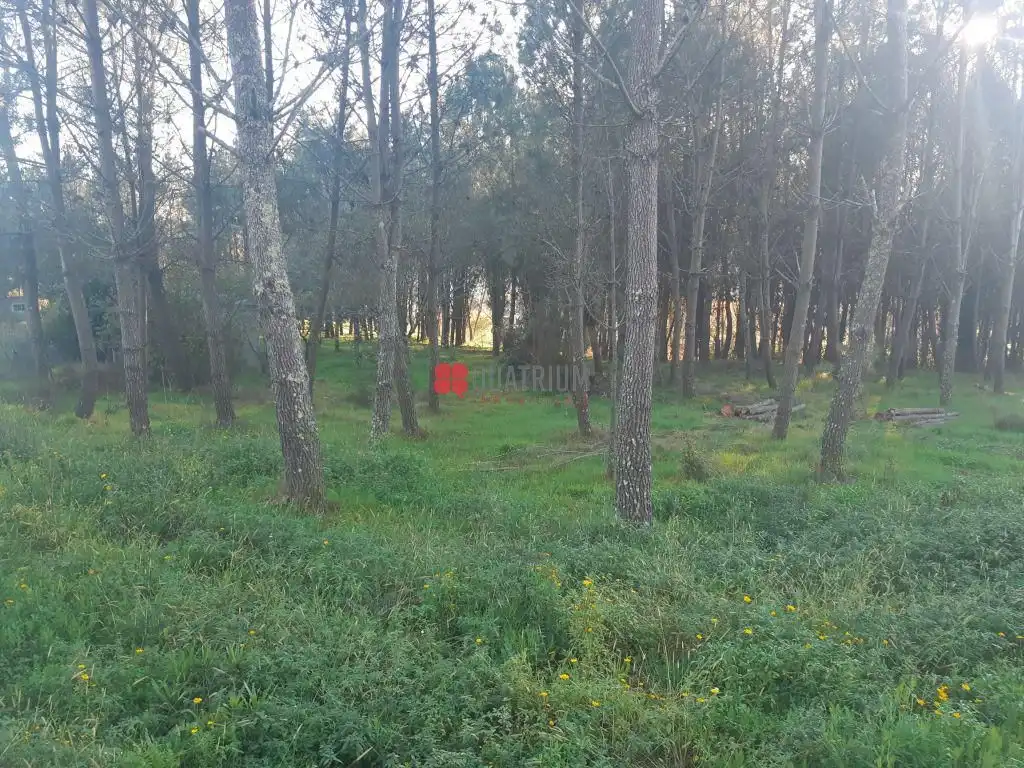 Terreny residencial en venda a Vedra, imagen 2