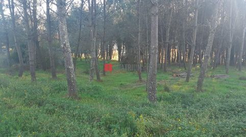 Se vende finca en Sarandón do Sar, Vedra con 2 galpones ya construidos.
Cuenta con 18250m², de los cuales 6860m² son edificables , imatge 2