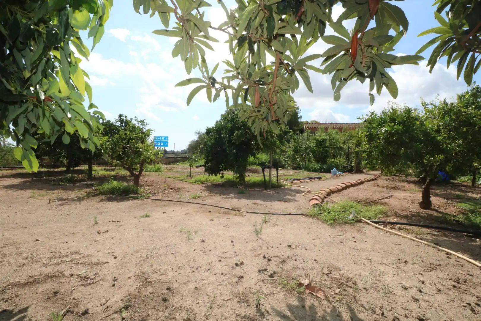 Finca rústica en venta en Gilet