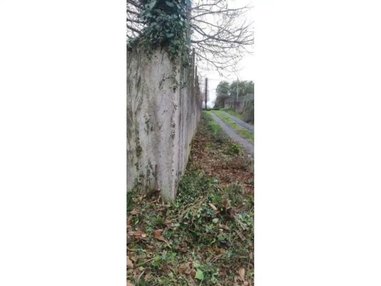 Terreny rústic en venda a Calle Lugar Barrabaite - Lamela 18, imagen 30